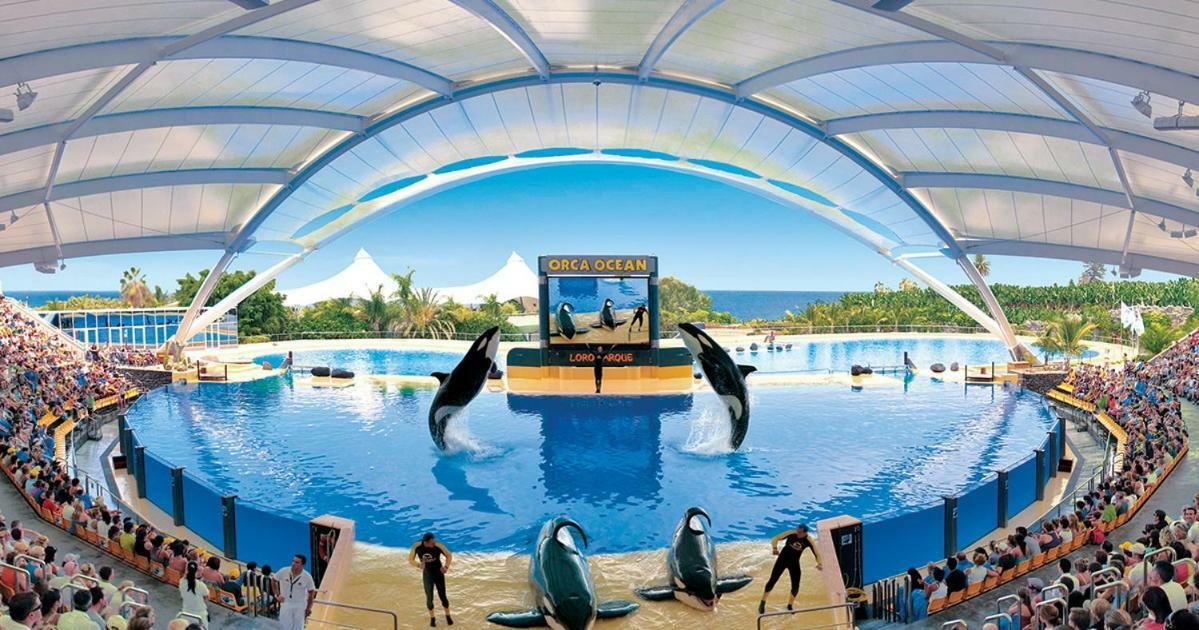 Alcala Center A 5 Minutos Del Paseo Y Playas Apartment Ngoại thất bức ảnh